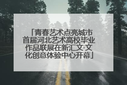 青春艺术点亮城市 首届河北艺术高校毕业作品联展在新汇文·文化创意体验中心开幕