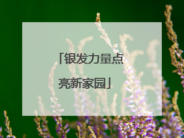银发力量点亮新家园