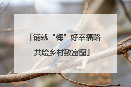 铺就“梅”好幸福路 共绘乡村致富图