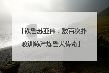 铁警苏亚伟：数百次扑咬训练淬炼警犬传奇
