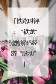 铁路时评：“铁龙”驰骋解码经济“脉动”