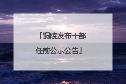 铜陵发布干部任前公示公告