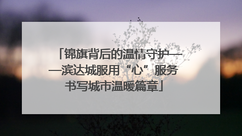 锦旗背后的温情守护——滨达城服用“心”服务书写城市温暖篇章