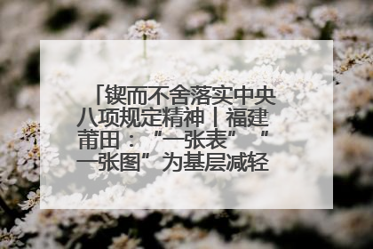 锲而不舍落实中央八项规定精神丨福建莆田：“一张表”“一张图”为基层减轻“数字负担”