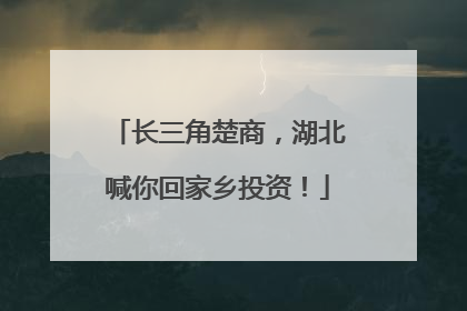 长三角楚商，湖北喊你回家乡投资！