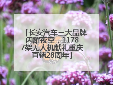 长安汽车三大品牌闪耀夜空，11787架无人机献礼重庆直辖28周年