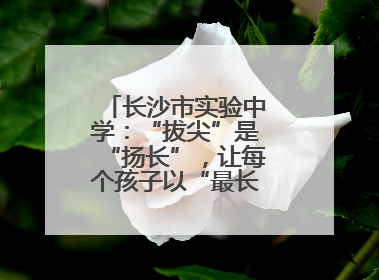 长沙市实验中学：“拔尖”是“扬长”，让每个孩子以“最长板”领跑人生