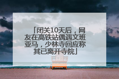 闭关10天后，网友在高铁站偶遇文班亚马，少林寺回应称其已离开寺院