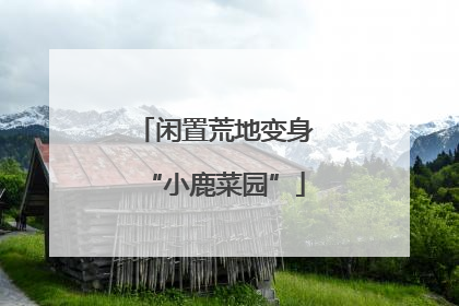 闲置荒地变身“小鹿菜园”