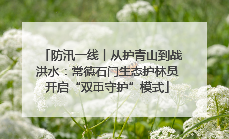 防汛一线丨从护青山到战洪水：常德石门生态护林员开启“双重守护”模式