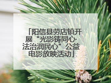 阳信县劳店镇开展“光影铸同心·法治润民心”公益电影放映活动
