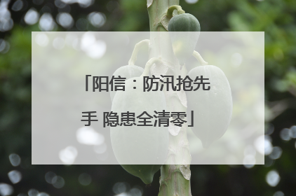 阳信：防汛抢先手 隐患全清零
