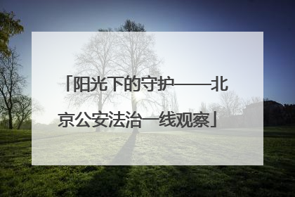 阳光下的守护——北京公安法治一线观察
