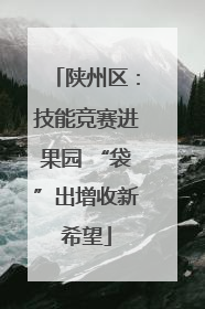 陕州区：技能竞赛进果园 “袋”出增收新希望