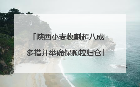 陕西小麦收割超八成 多措并举确保颗粒归仓