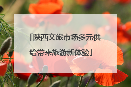 陕西文旅市场多元供给带来旅游新体验