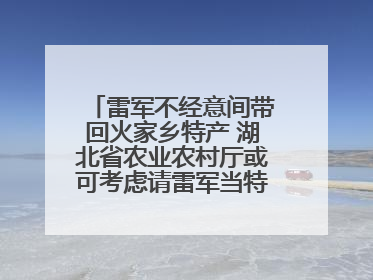 雷军不经意间带回火家乡特产 湖北省农业农村厅或可考虑请雷军当特产大使