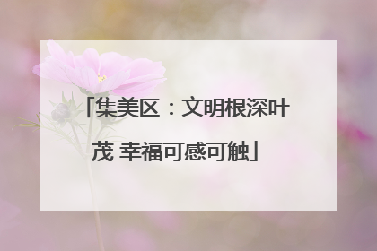 集美区：文明根深叶茂 幸福可感可触