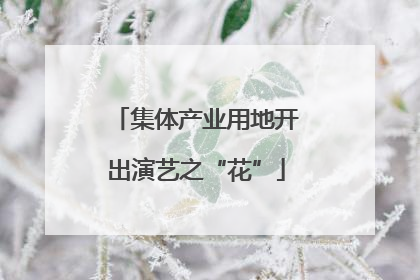 集体产业用地开出演艺之“花”
