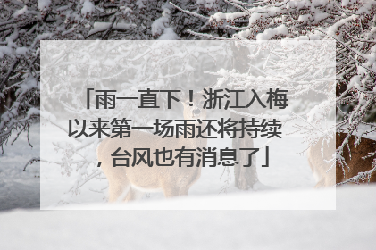 雨一直下！浙江入梅以来第一场雨还将持续，台风也有消息了
