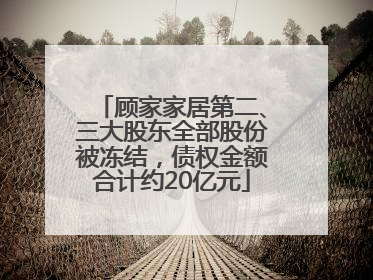 顾家家居第二、三大股东全部股份被冻结，债权金额合计约20亿元
