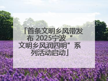 首条文明乡风带发布 2025宁波“文明乡风润四明”系列活动启动
