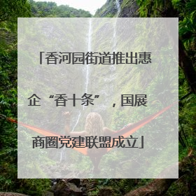 香河园街道推出惠企“香十条”，国展商圈党建联盟成立