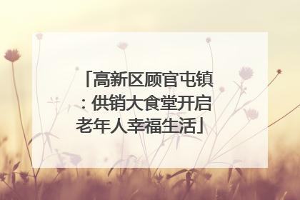 高新区顾官屯镇：供销大食堂开启老年人幸福生活