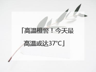 高温橙警！今天最高温或达37℃