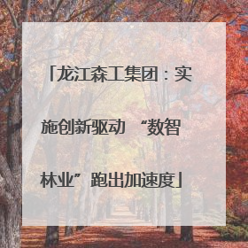龙江森工集团：实施创新驱动 “数智林业”跑出加速度