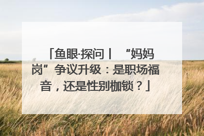 鱼眼·探问丨 “妈妈岗”争议升级：是职场福音，还是性别枷锁？