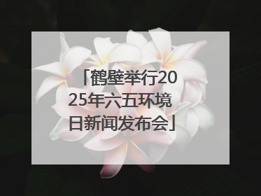 鹤壁举行2025年六五环境日新闻发布会