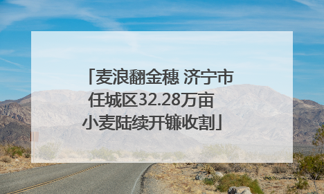 麦浪翻金穗 济宁市任城区32.28万亩小麦陆续开镰收割