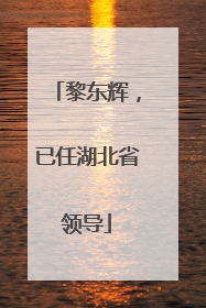 黎东辉，已任湖北省领导