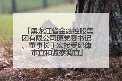 黑龙江省金融控股集团有限公司原党委书记、董事长于宏接受纪律审查和监察调查