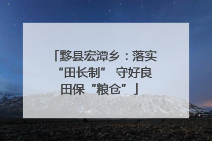 黟县宏潭乡：落实“田长制” 守好良田保“粮仓”