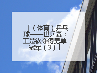 （体育）乒乓球——世乒赛：王楚钦夺得男单冠军（3）