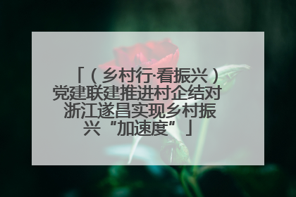 （乡村行·看振兴）党建联建推进村企结对 浙江遂昌实现乡村振兴“加速度”