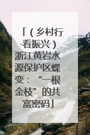 （乡村行·看振兴）浙江黄岩水源保护区蝶变：“一根金枝”的共富密码