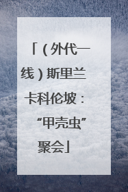 （外代一线）斯里兰卡科伦坡：“甲壳虫”聚会