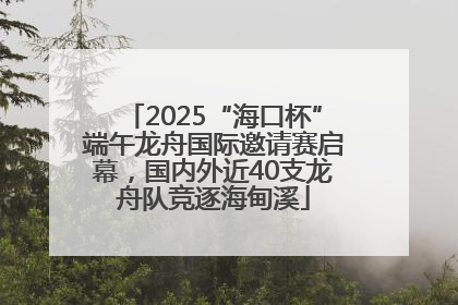 2025“海口杯”端午龙舟国际邀请赛启幕，国内外近40支龙舟队竞逐海甸溪