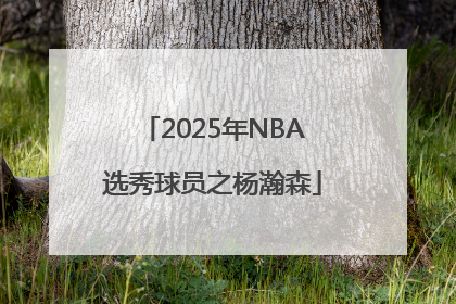 2025年NBA选秀球员之杨瀚森