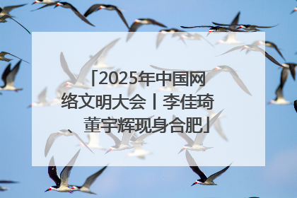 2025年中国网络文明大会丨李佳琦、董宇辉现身合肥