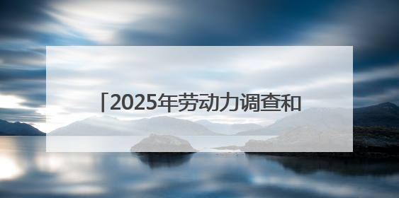 2025年劳动力调查和就业政策进社区宣传服务活动·临沂站 顺利举行