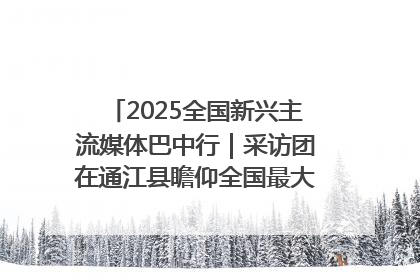 2025全国新兴主流媒体巴中行｜采访团在通江县瞻仰全国最大红军烈士陵园