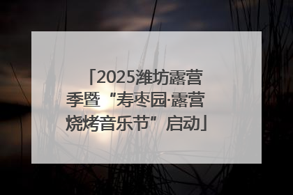 2025潍坊露营季暨“寿枣园·露营烧烤音乐节”启动
