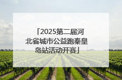 2025第二届河北省城市公益跑秦皇岛站活动开赛