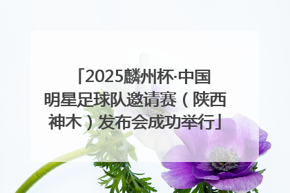 2025麟州杯·中国明星足球队邀请赛（陕西神木）发布会成功举行