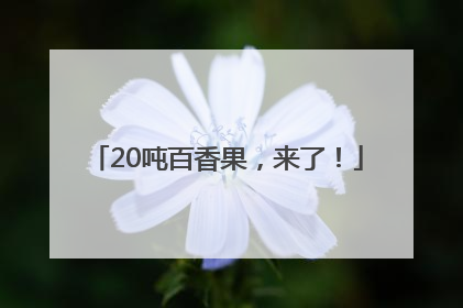 20吨百香果，来了！