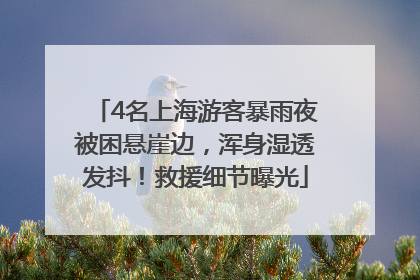 4名上海游客暴雨夜被困悬崖边，浑身湿透发抖！救援细节曝光